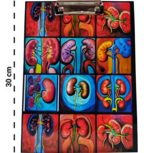 Tabla portapapel de Riñones